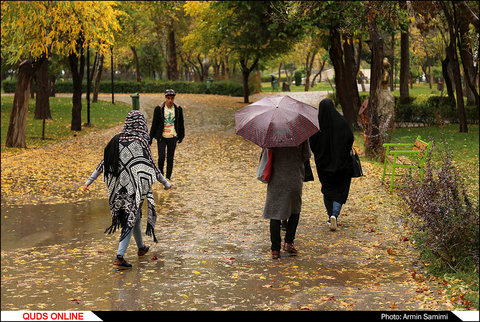 باران پاییزی 