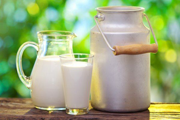 رشد ۱۶۸ درصدی قیمت شیر در بازار لبنیات