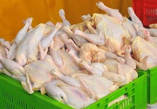 قیمت مرغ دوباره افزایش یافت
