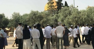 توصیه پلیس "اسرائیل" به اعضای کنست جهت افزایش تعرض به مسجد الاقصی