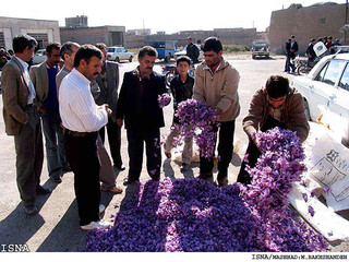 بازار زعفران درخطر صادرکنندگان نوپا /هشدار برای شکست برندسازی
