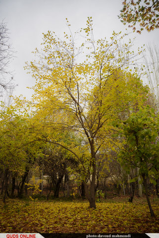 پاییز در روستای دهبار