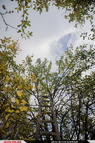 پاییز در روستای دهبار