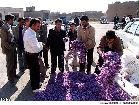 بازار زعفران درخطر صادرکنندگان نوپا /هشدار برای شکست برندسازی 