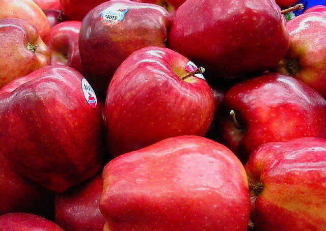 کمبود عرضه، عامل گران شدن قیمت سیب