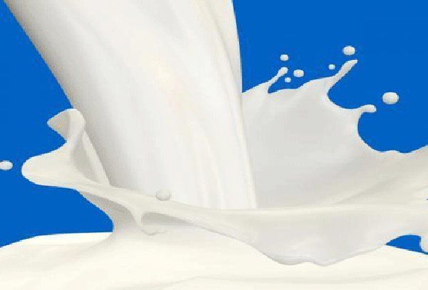 تصویب قیمت ۲۰۰۰ تومان برای شیرخام درب دامداری