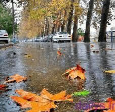 بارش باران در ۱۱ شهرستان خراسان رضوی