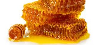 افزایش تولید محصولات جانبی عسل در گیلان