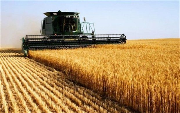 بررسی طرح اصلاح قانون خرید تضمینی محصولات کشاورزی