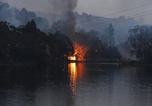 تخلیه ۸ هزار نفر در پی آتش‌سوزی جنگلی در شمال استرالیا
