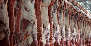 کاهش ١١ درصدی مقدار تولید گوشت در کشتارگاه‌های رسمی کشور