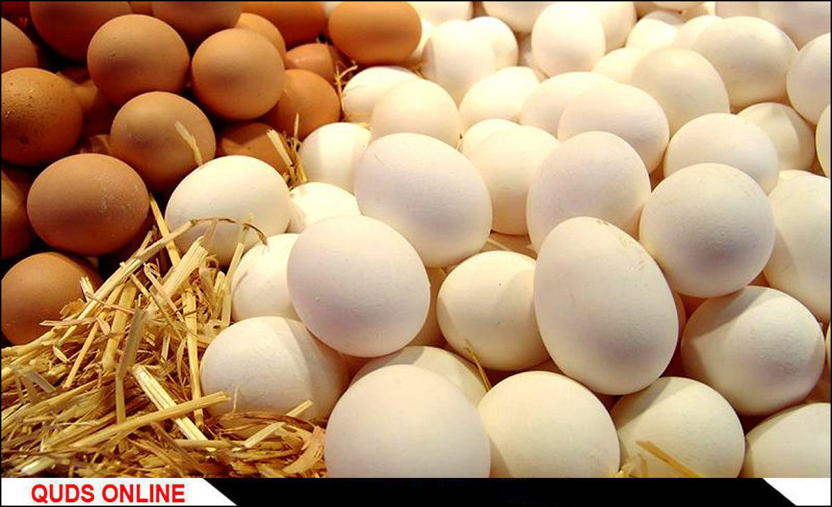 خودداری از زیاده‌روی در مصرف تخم مرغ 