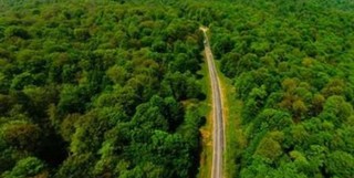 طرح کاداستر در ۱۱ میلیون هکتار از جنگل‌های کشور اجرا می‌شود