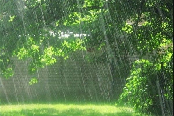 رگبار باران و وزش شدید باد در ۱۵ استان 