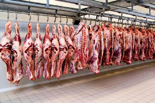 دلیل اصلی گرانی گوشت قاچاق دام است