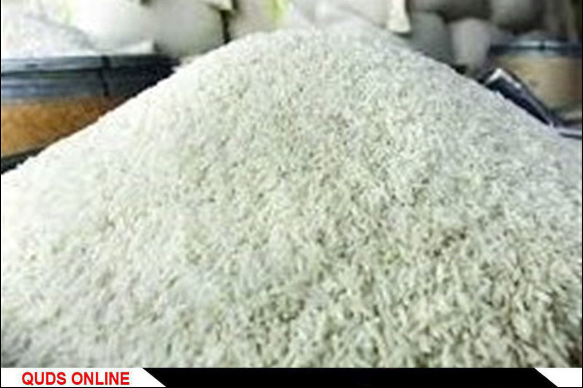 اجازه واردات برنج داده شد تا کسری این محصول در کشور تامین شود