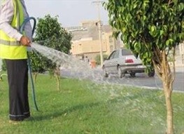 انشعاب‌های آب فضای سبز شهری استان برچیده می‌شود