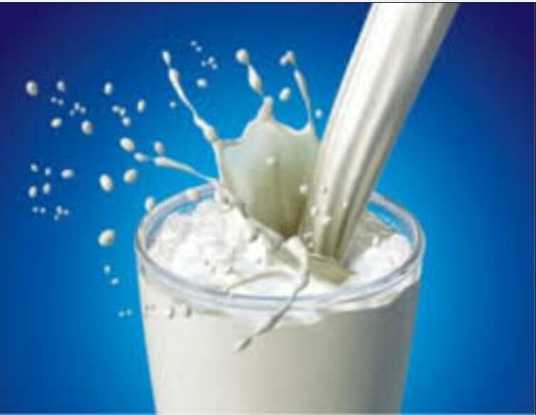 سالانه ۱۰۰ هزار تن شیر مازاد در خراسان رضوی تولید می شود