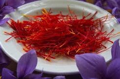 ۲ هزار و ۵۵۰ کیلو گرم زعفران در خوشاب تولید شد
