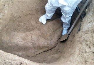 جسد زن ۵۷ ساله از باغچه منزلش در مشهد کشف شد