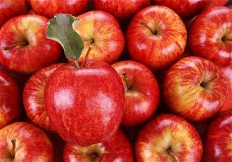 ۲۵ هزار تن سیب درختی برای تنظیم بازار شب عید ذخیره شد