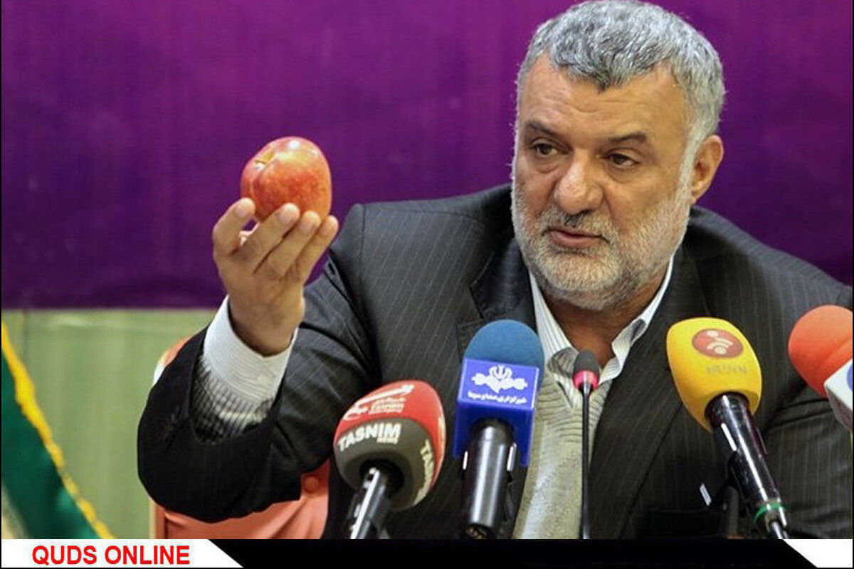 وزیر کشاورزی: برای تامین میوه شب عید تمهیدات لازم دیده شده است