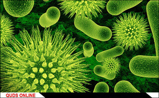 میکروب‌ها؛ این موجودات ذره‌بینی را بیشتر بشناسیم