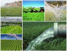 بهره برداری از ۷۹ پروژه بخش کشاورزی در استان یزد در ایام الله دهه فجر 