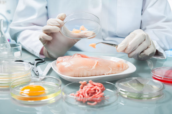 همایش تخصصی آشنایی با کاربرد پلاسما در صنایع غذایی و کشاورزی برگزار می شود