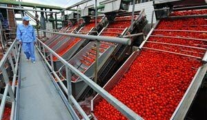بهره‌برداری از ۳۰۱ واحد تولیدی دربخش صنایع کشاورزی یزد