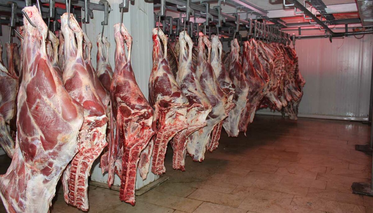 واردات هزار و ۴۳۰ تن انواع گوشت قرمز به خراسان رضوی