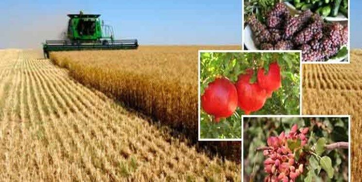 صندوق‌های کشاورزی برای واردات نهاده‌ها ساختار ملی پیدا می‌کنند