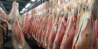 اتمام تشریفات گمرکی ورود یک میلیون و ۱۵۵ هزار کیلو گوشت