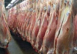 گوشت طی روزهای آینده در مشهد ارزانتر میشود/ هیچ محدودیتی برای واردات گوشت با ارز نیمایی نیست