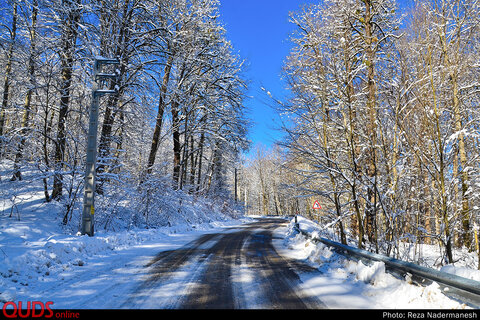 طبیعت زیبای پارک جنگلی توسکا چشمه در مازندران