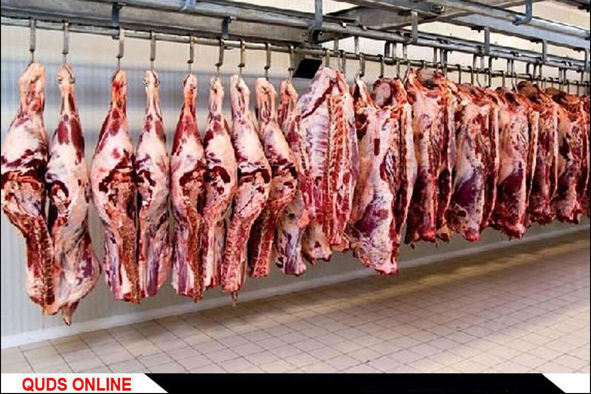 توزیع اینترنتی سبد گوشت و مرغ تنظیم بازاری آغاز شد