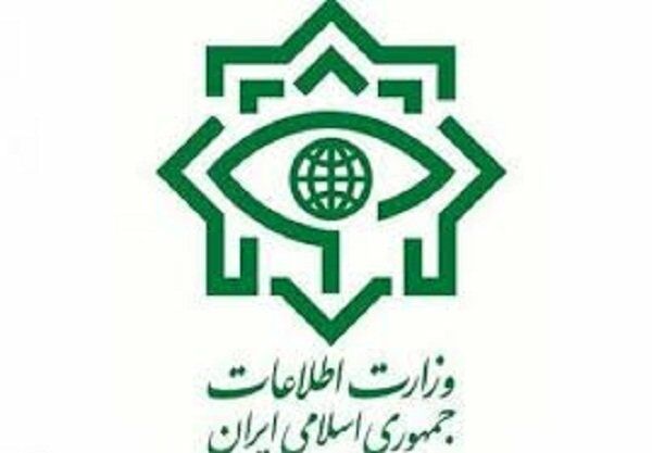 توضیح وزارت اطلاعات درباره حکم زندان حسن عباسی