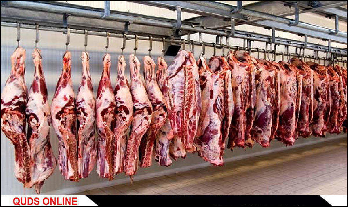 ۱۲۰ شرکت مجوز واردات گوشت گرفته‌اند