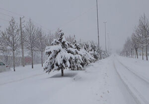 ۷ سانت بارش برف در مشهد