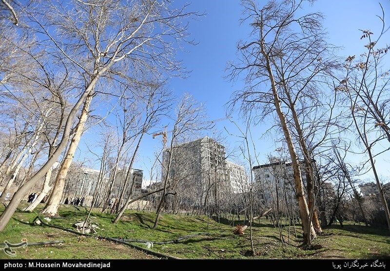  میلانی: تخریب باغ‌های تهران فقط با زلزله قابل مقایسه است