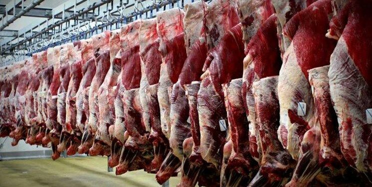 انجام تشریفات گمرکی ۱۲۳ کانتینر گوشت وارداتی طی روزهای گذشته