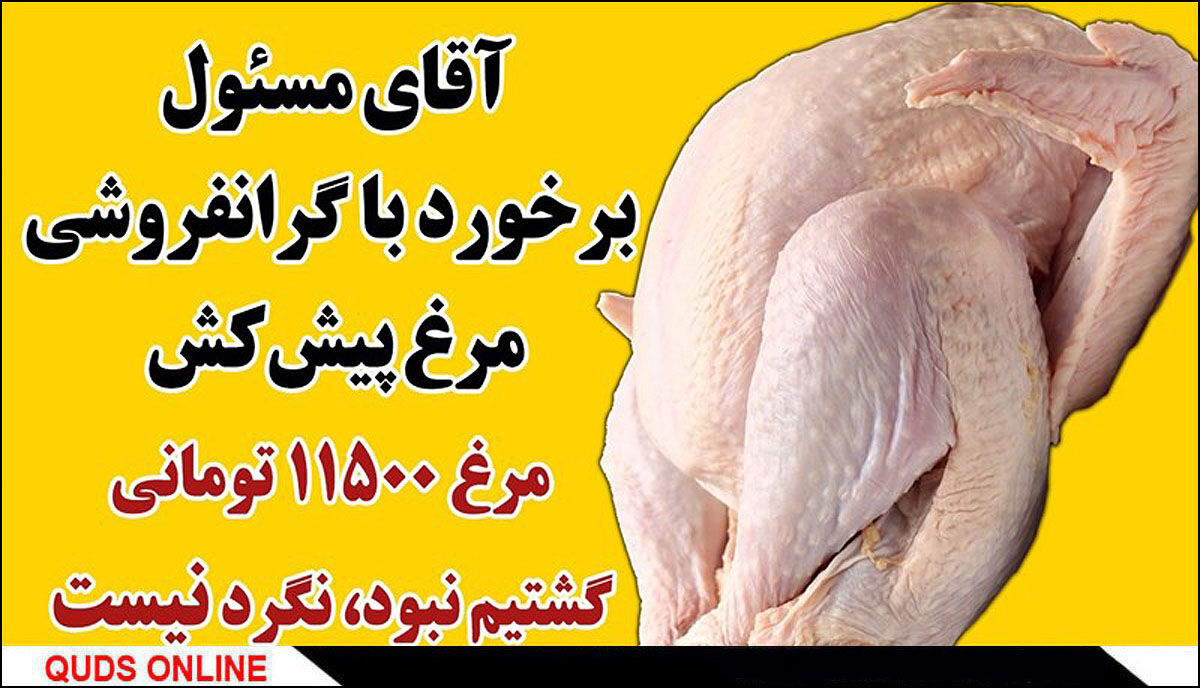 افزایش جوجه‌ریزی برای تامین گوشت مرغ در شب عید