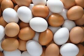 ۵ تن تخم مرغ فاقد هویت و غیربهداشتی در مشهد کشف شد
