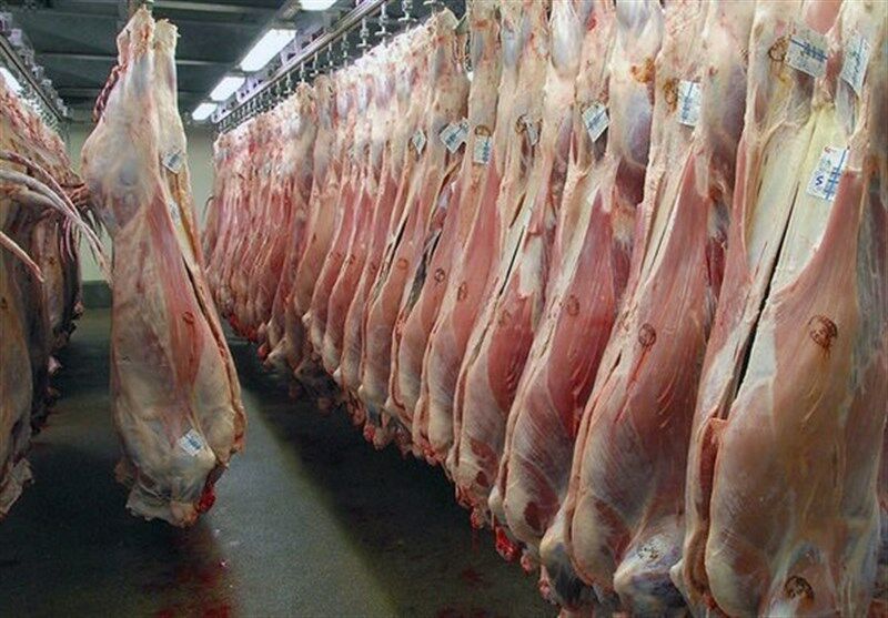 به اندازه ۲ سال گوشت وارد کشور شده؛ دولت در مسئله تنظیم بازار ضعیف است