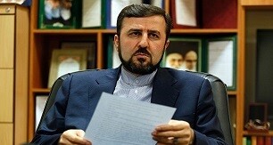 گزارش اخیر آژانس اثبات می‌کند ایران از عزم و اراده برای تعامل مثبت برخوردار است