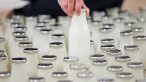تولید سالانه ۱۰۰ هزار تن شیر مازاد در خراسان رضوی