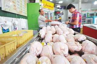 عرضه گوشت مرغ در خراسان رضوی، بیش از نیاز بازار