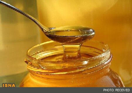 تولید بیش از ۲۰۰۰ تن عسل در خراسان رضوی