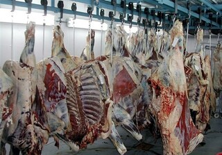 گوشت و مرغ تنظیم بازاری همچنان عرضه می‌شود