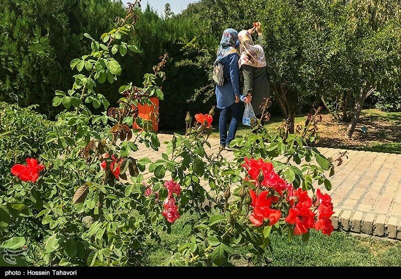 باغِ بانوان در مشهد افتتاح می شود